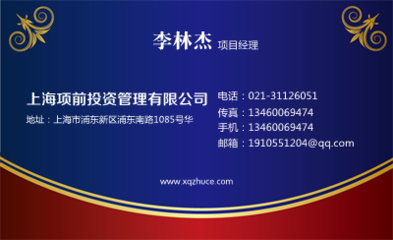 上海项前投资管理的项目投资管理策略分析