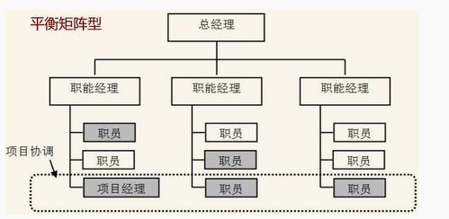金融行业项目投资管理中的组织结构设计与优化
